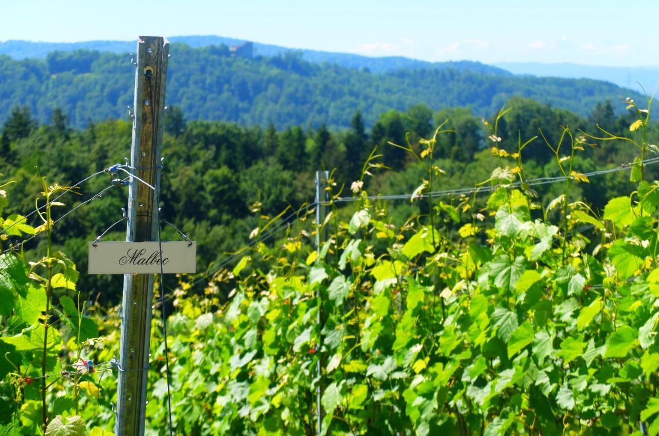 Prophetengut - Die Perle Im Jurapark Habsburg Exterior photo